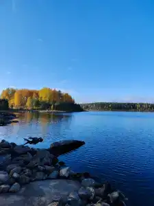 Салонсари - 24