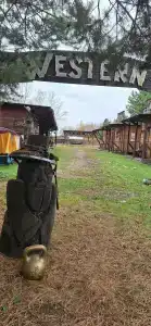 Золотой Полоз - 7