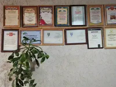 у Гульзары - 11