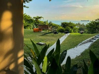 Sofitel Singapore Sentosa Resort & Spa (SG Clean) - 42