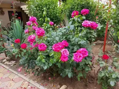 Морская, 51 - 6