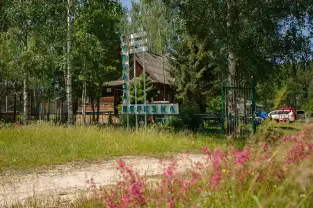 Берёзка - 13