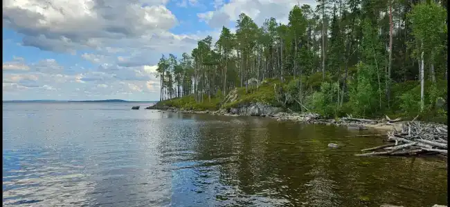 Рыболофф.ру - 1