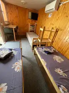 Судак-тудак - 38