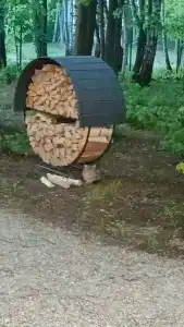 Forest story - 34