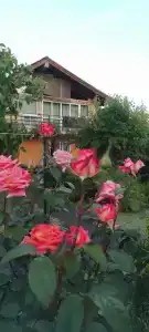 Каменный дворик - 47