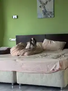 Кремлевский - 27