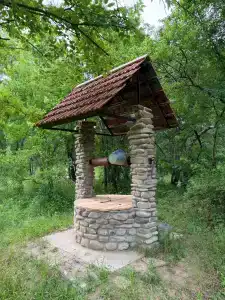 Тихий Лес - 15