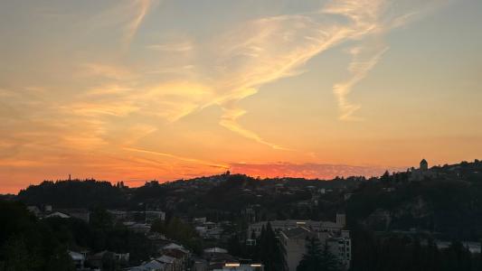 Зеленый цветок - 47