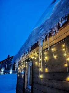 ХибиныДача - 37