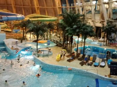 Питерлэнд - 79