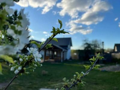 Пенеснарь - 7