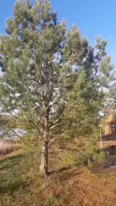 Озеро Уткуль - 33