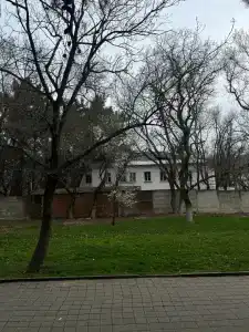 Ласточка - 27