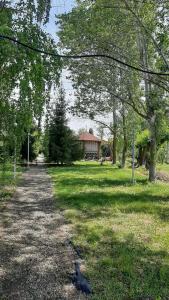 Тихий Причал - 89