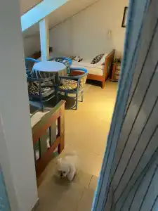 Гостевой дом Суриковых - 64