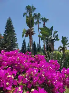 Lonicera World Resort & Spa - Ultra All Inclusive - 79