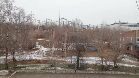 Три Медведя - 44