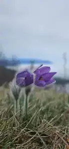 Охотничий Дом - 11