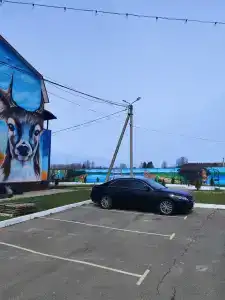 Рутавечь - 11