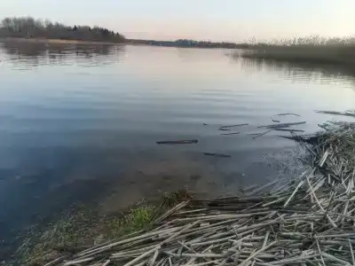 Бремен - 47