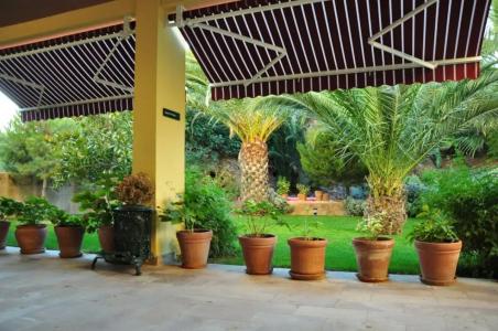Palm Court Suites - 19