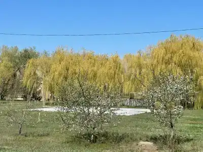Имение Черновых - 6