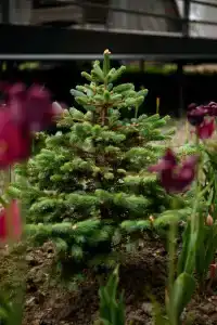 Заимка Узалы - 25