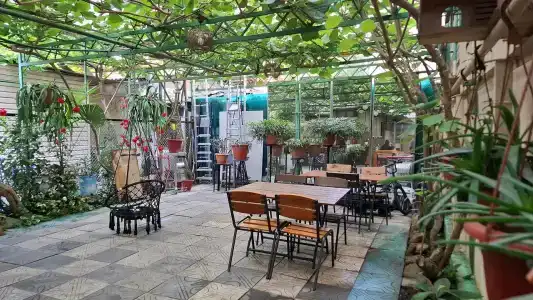 Киви Бутик - 2