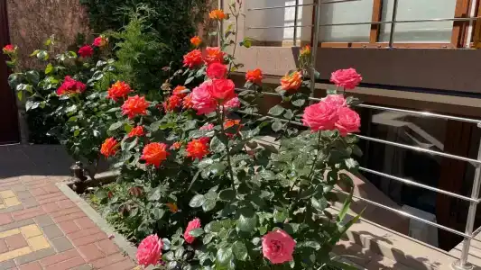 Гостевой дом на Московской - 0