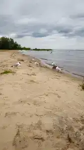Сказочное место - 18