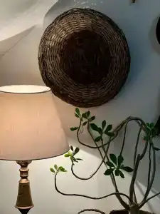 Пенеснарь - 56