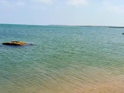 Жемчужный - 36