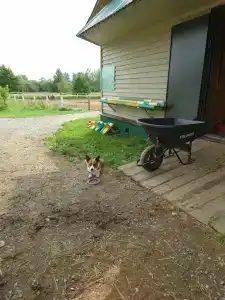 Лаки Лейк - 53