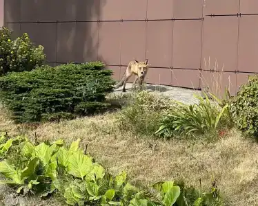 Флотилия - 20