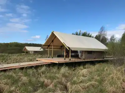 Сад имени Александра Невского - 21