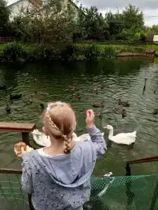 Эко Суздаль Inn - 61