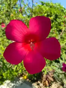 Морское Небо - 40