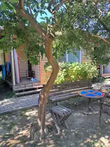 Бриз - 3