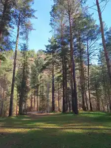 Загородный Очаг - 9