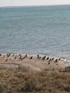 Генеральские домики - 10