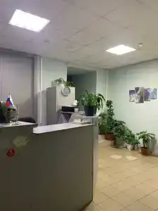 Лебедь - 9