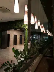 Грин Сити - 21