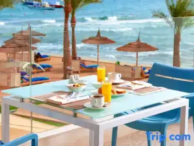 Beach Albatros - - 23