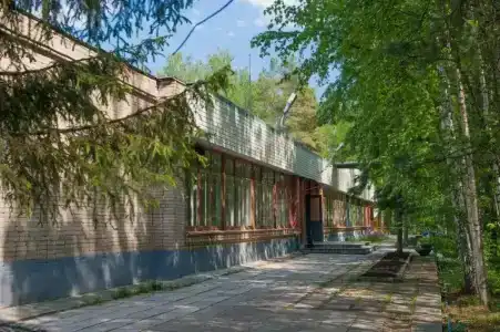 Чайка - 9