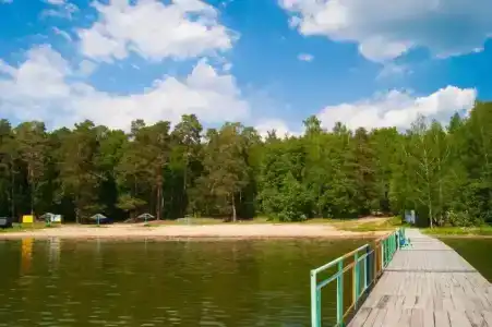 Чайка - 16