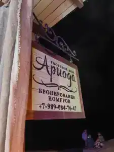 Ариода - 9