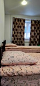 Заполярье - 59