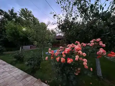 Вдохновение - 43