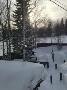 ХибиныДача - 55